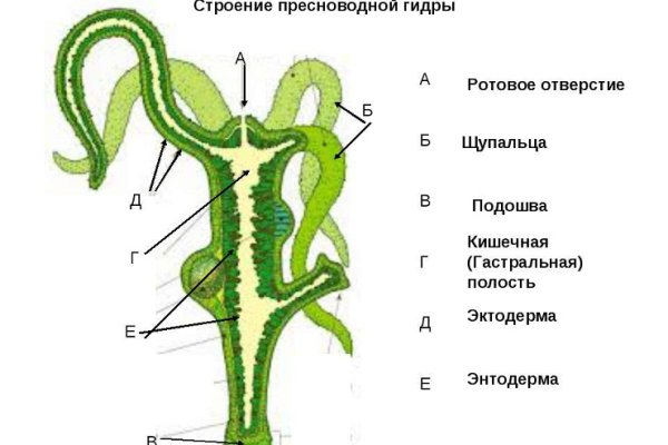 Зеркало на кракен