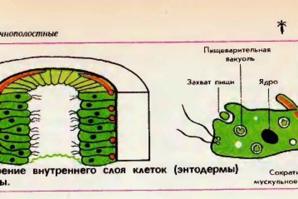 Kraken официальная ссылка tor