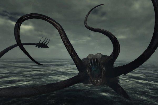 Kraken верификация