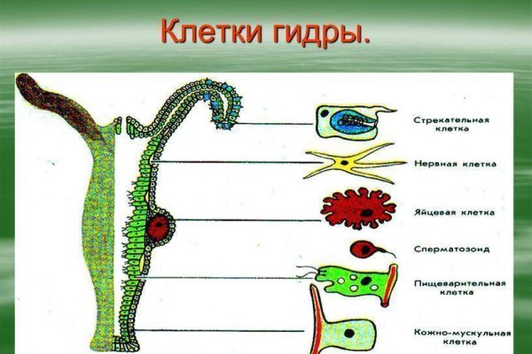 Как вернуть аккаунт на кракене